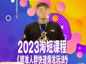 文涛·2023淘短精准人群快速爆发玩法，​快速高效自创视频及全店运营思维-林文副业站