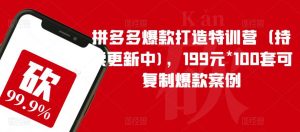 拼多多爆款打造特训营（持续更新中)，199元*100套可复制爆款案例-林文副业站
