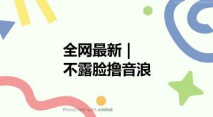 全网最新不露脸撸音浪,跑通自动化成交闭环,实现出单+收徒收益最大化【揭秘】-林文副业站