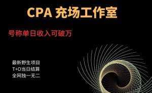 cpa充场工作室，号称单日收入10000+（揭秘）-林文副业站