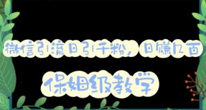 微信互推圈半自动引流方案，矩阵操作日引千人思路【详细视频教程】-林文副业站
