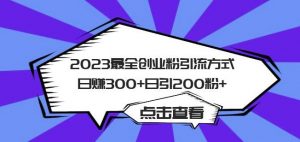 2023最全创业粉引流方式日赚300+日引粉200+【揭秘】-林文副业站