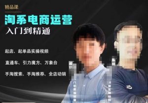 2023手淘搜索实操课+体系化课程，​起店起单品实操视频课程-林文副业站