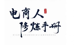 照顾酱·电商人修炼手册，从0到1，手把手教你理解淘宝运营底层逻辑-林文副业站