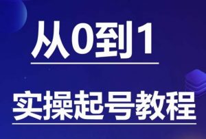 石野·小白起号实操教程，​掌握各种起号的玩法技术，了解流量的核心-林文副业站