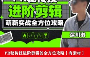 PR进阶剪辑培训班,让你快速成为剪辑大师12节视频课程+素材!-林文副业站