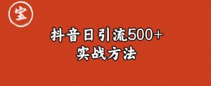 宝哥抖音直播引流私域的6个方法，日引流500+-林文副业站