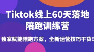 Tiktok线上60天落地陪跑训练营，独家赋能陪跑方案，全新运营技巧干货-林文副业站