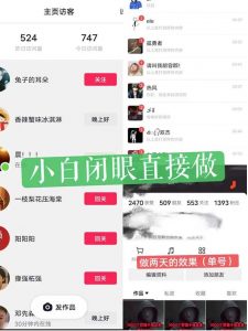 一天做完别一辈子的视频制作最近很火的《1000个野路子信息差》100%过原创【揭秘】-林文副业站