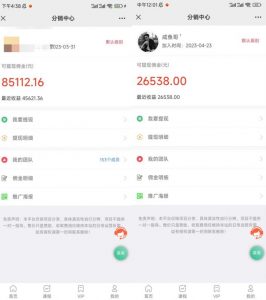 闲鱼流量掘金-虚拟变现新玩法配合全网项目库，精准引流变现3W+-林文副业站