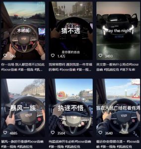 抖音开车视频项目,0基础操作,每天五分钟,月入1W+【揭秘】-林文副业站