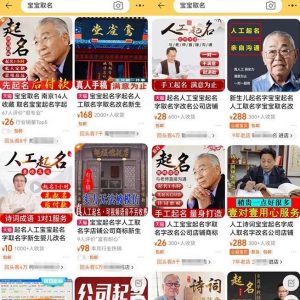 拆解小红书宝宝起名虚拟副业项目，一条龙实操玩法分享给你（教程+软件）-林文副业站