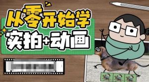 从零开始学实拍加动画,实拍加动画创意教程-林文副业站
