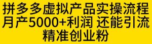拼多多虚拟产品实操流程，月产5000+利润，还能引流精准创业粉【揭秘】-林文副业站