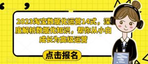 2023淘宝数据化运营14式,深度解析数据化知识,帮你从小白成长为高级运营-林文副业站