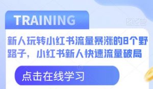 新人玩转小红书流量暴涨的8个野路子，小红书新人快速流量破局-林文副业站