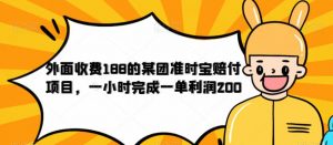 外面收费188的美团准时宝赔付项目，一小时完成一单利润200【仅揭秘】-林文副业站
