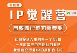 树成林·IP觉醒营，快速树立行业IP的操作方法论，让你赚到人生的第一个1万块（更新）-林文副业站