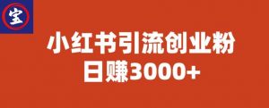 宝哥小红书引流创业粉，日赚3000+【揭秘】-林文副业站