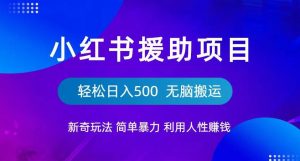 小红书援助项目新奇玩法，简单暴力，无脑搬运轻松日入500【揭秘】-林文副业站