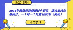 2023年最新看直播赚钱小项目，适合宝妈在家操作，一个号一个月赚1000多（揭秘）-林文副业站