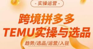 伍跃·跨境拼多多TEMU实操与选品,趋势/选品/运营/入住(27节完整)-林文副业站