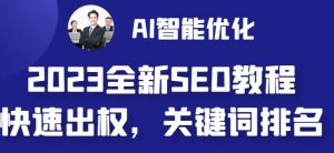 2023最新网站AI智能优化SEO教程,简单快速出权重,AI自动写文章+AI绘画配图-林文副业站