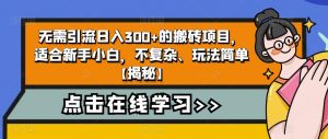 无需引流日入300+的搬砖项目，适合新手小白，不复杂、玩法简单【揭秘】-林文副业站