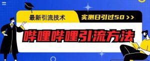 最新引流技术，哔哩哔哩引流方法，实测日引50人【揭秘】-林文副业站