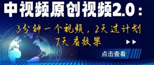 中视频原创视频2.0：3分钟一个视频，2天过计划，7天看效果【揭秘】-林文副业站