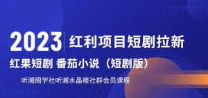 2023红利项目短剧拉新,听潮阁学社月入过万红果短剧番茄小说CPA拉新项目教程【揭秘】-林文副业站