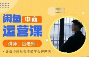 岳老师·闲鱼电商运营课，让每个粉丝宝宝都学会开网店-林文副业站