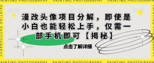 漫改头像项目分解，即使是小白也能轻松上手，仅需一部手机即可【揭秘】-林文副业站