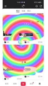 冷门高利润项目，小红书带货，无脑搬运，一部手机实现日入500+【揭秘】-林文副业站