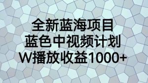 全新蓝海项目，蓝色中视频计划，1W播放量1000+【揭秘】-林文副业站