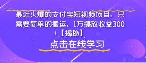 最近火爆的支付宝短视频项目，只需要简单的搬运，1万播放收益300+【揭秘】-林文副业站
