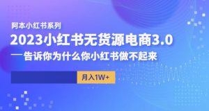 阿本小红书无货源电商3.0，告诉你为什么你小红书做不起来-林文副业站