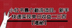 小红书暴力截流项目，新手快速实现单日收益二三百【仅揭秘】-林文副业站