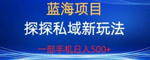 蓝海项目,探探私域新玩法,一部手机日入500+很轻松【揭秘】-林文副业站