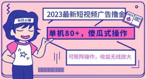 2023最新玩法短视频广告撸金，亲测单机收益80+，可矩阵，傻瓜式操作，小白可上手【揭秘】-林文副业站