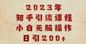 2023知乎引流课程，小白无脑操作日引200+【揭秘】-林文副业站