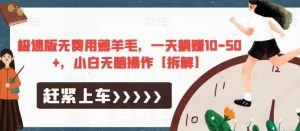 极速版无费用薅羊毛，一天躺赚10-50+，小白无脑操作【拆解】-林文副业站