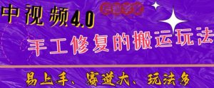 中视频4.0赛道：新手福音，一小时制作，三天过计划，7天看效果【揭秘】-林文副业站