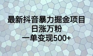 最新抖音暴力掘金项目，日涨万粉，一单变现500+【揭秘】-林文副业站