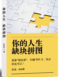 某高赞电子书《你的人生，缺块拼图——我靠“割韭菜”，年赚500万，你会你也可以》-林文副业站