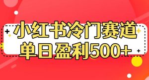 小红书冷门赛道，单日盈利500+【揭秘】-林文副业站