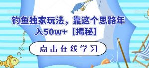钓鱼独家玩法，靠这个思路年入50w+【揭秘】-林文副业站