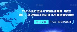 TikTok全方位通关专项企业陪跑【第三期】,从0到1真正的企业TK电商运营全流程-林文副业站