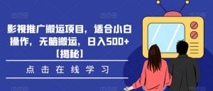 影视推广搬运项目，适合小白操作，无脑搬运，日入500+【揭秘】-林文副业站