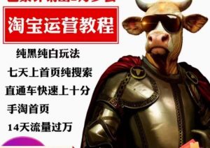 猫老师·淘系算法逆向解密,纯黑纯白玩法,七天上首页纯搜索,手淘首页14天流量过万-林文副业站